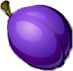Symbol 1